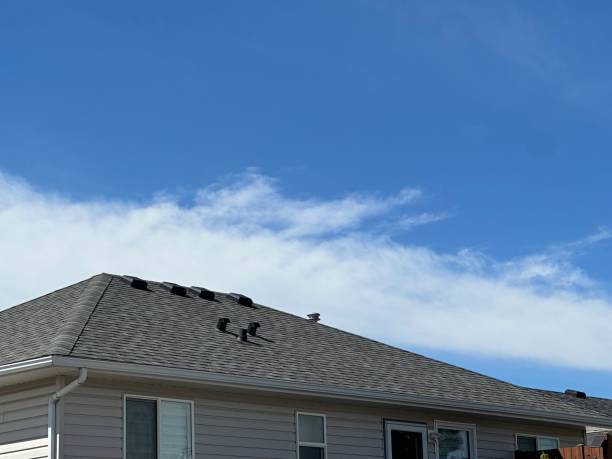 Best Asphalt Shingles Roofing  in Vevay, IN